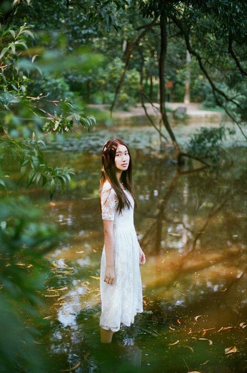 旋转阻尼器 旋转阻尼器 安装