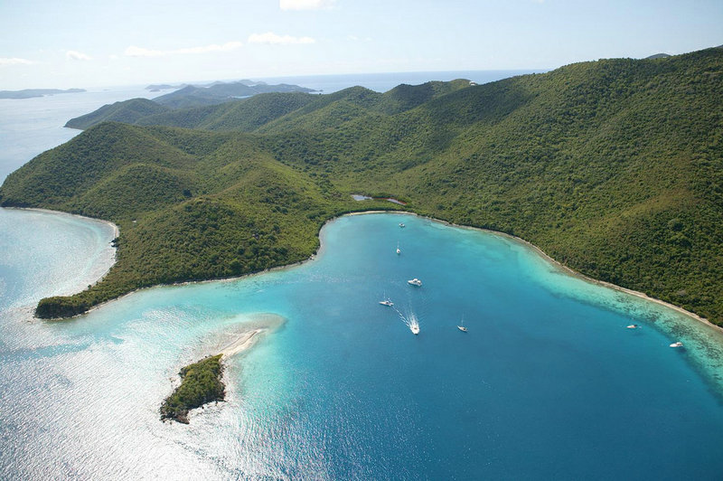 王栎鑫生日(王栎鑫为什么过两个生日)