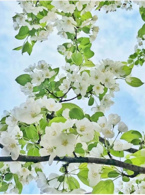 呼市附近旅游景点区外(呼市附近的旅游地方)