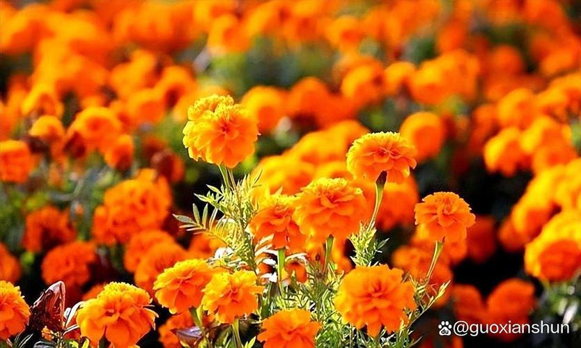 杨广为国家做了哪些益事？他又是如何亲手毁了