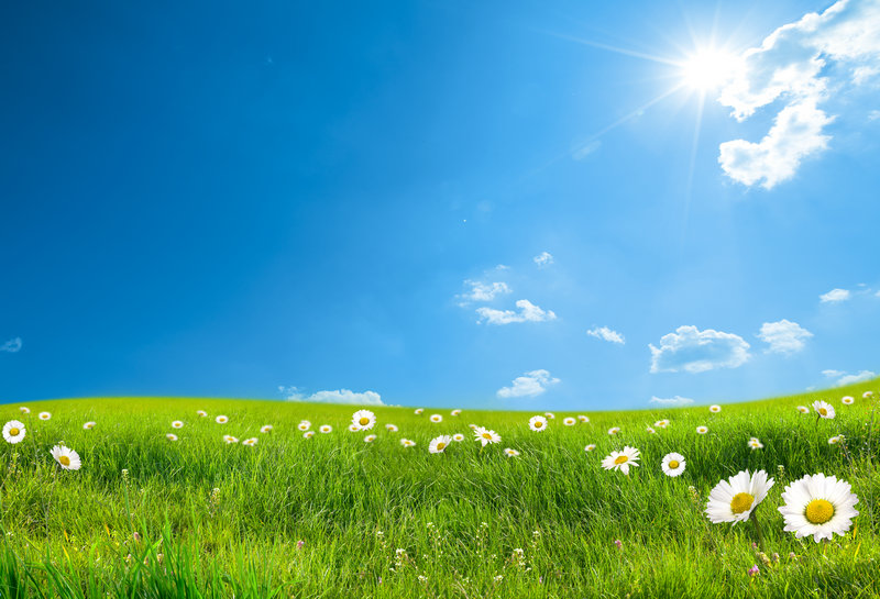 贺先生的恋恋不忘免费