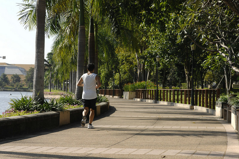 宁夏春节免费旅游景点(宁夏春节免费旅游景点推荐)