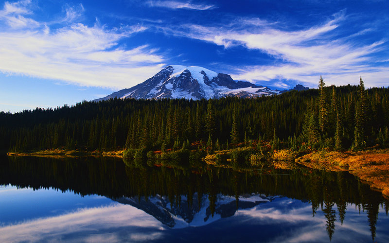 胡先煦 胡先煦电影