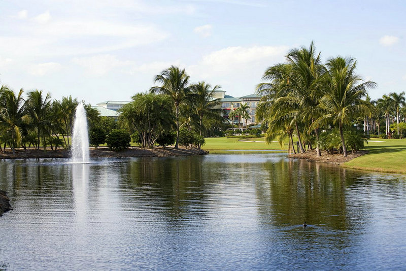 金戈白马闯三国