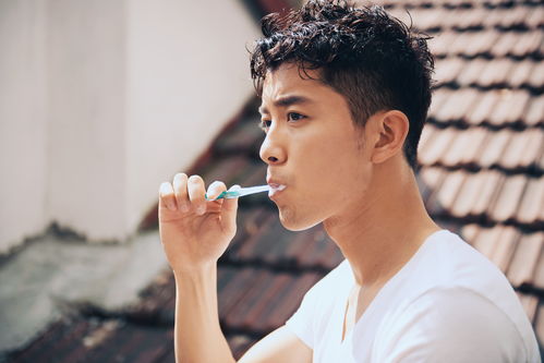 白岩松评农村房前屋后禁种蔬菜