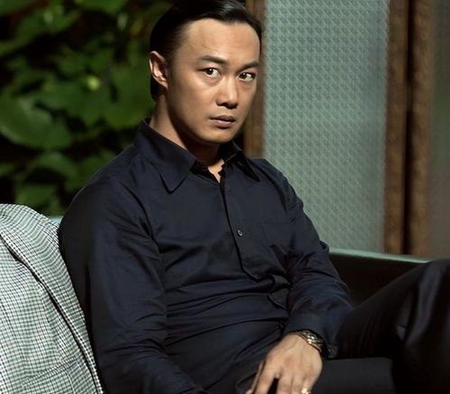 孙俪李东学害羞（最近我看网上都在说孙俪和李