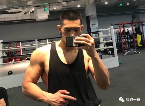 克拉玛依至喀纳斯旅游(克拉玛依喀纳斯旅游报团)