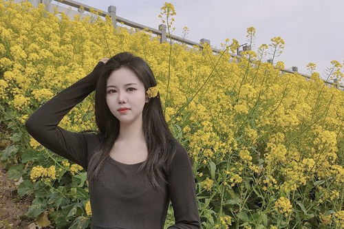 怎么获得免费景区门票 怎么获得免费景区门票