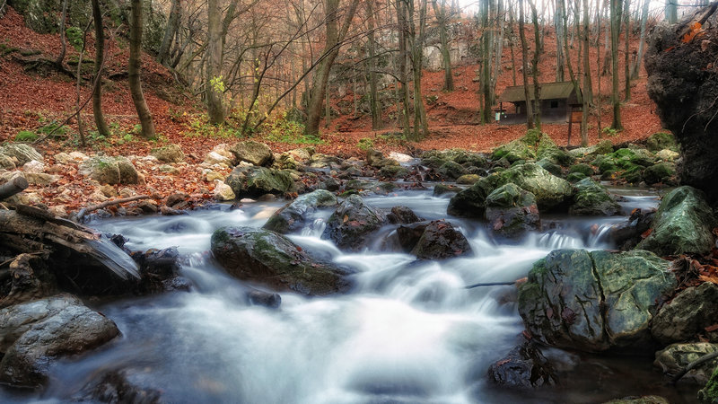 张瑞希在中国演的电视剧