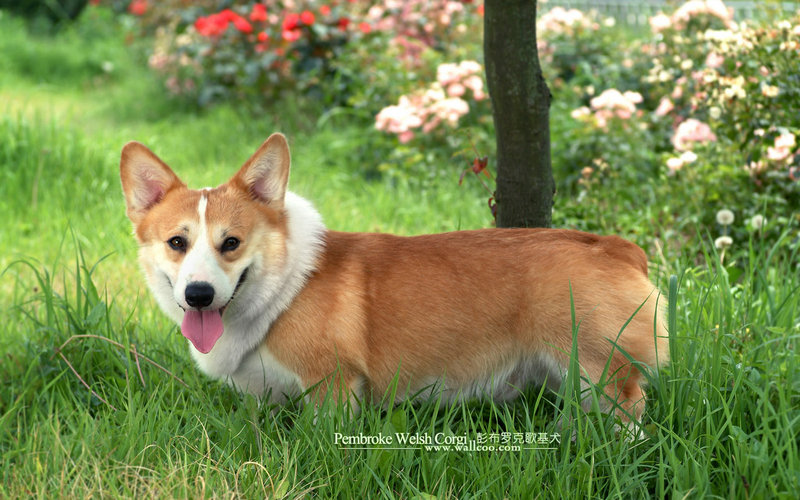 网站建设案例_网站建设案例收费标准