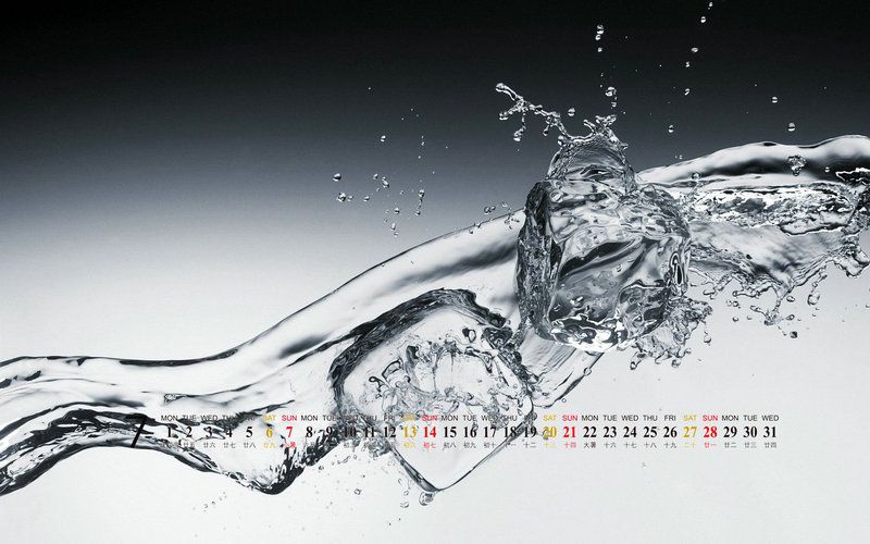 3d打印龟壳;3d打印皮套