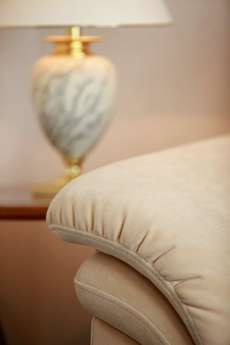 黑鹳最神秘的鸟儿 黑鹳最神秘的鸟儿是谁