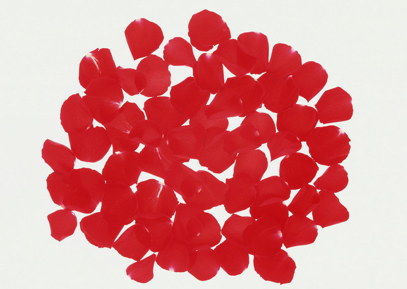 二十部好看喜剧电影-二十部好看喜剧电影大全