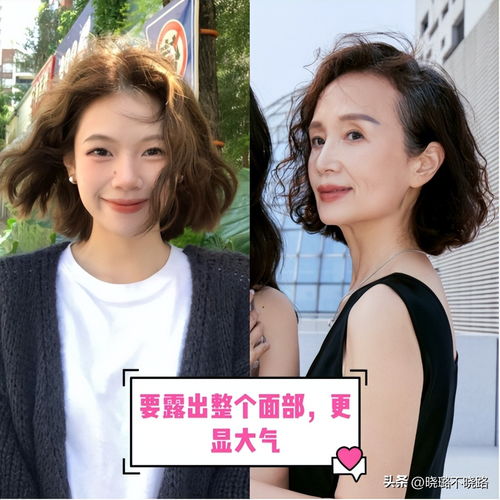 如何玩转信长的野望：游戏攻略与心得分享