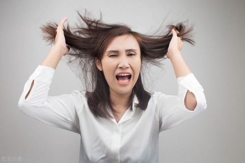 刘备坐拥的徐州六郡怎么被吕布打下了？