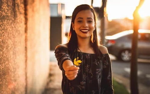 23届黄河旅游节(黄河文化节2021)