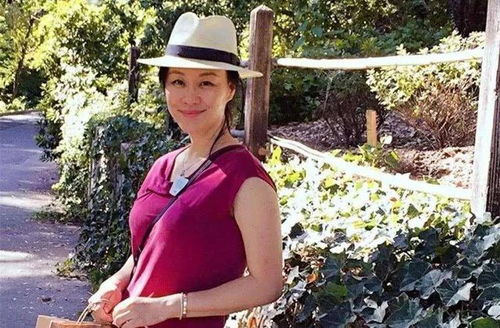 旅游服务活动(旅游服务活动心得体会)